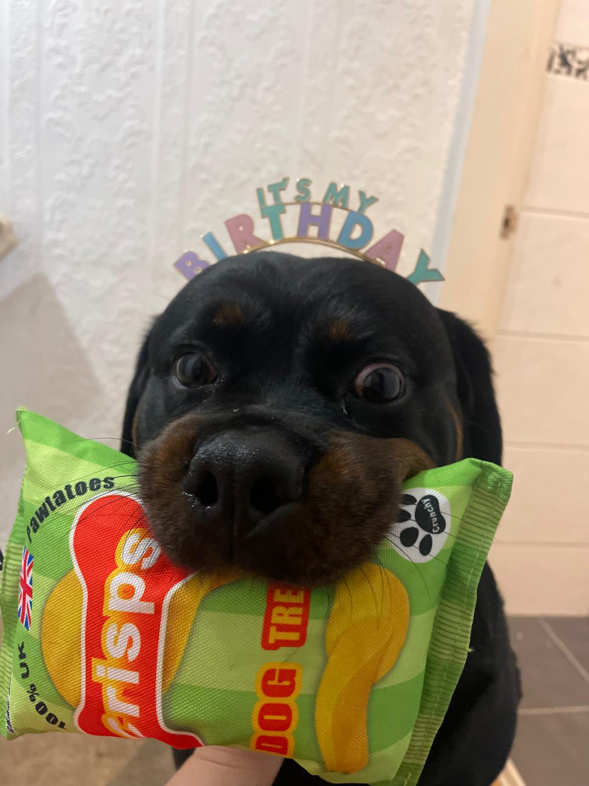 Kaisa Kinisher Lisha